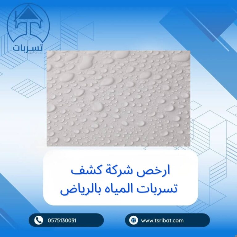 ارخص شركة كشف تسربات المياه بالرياض